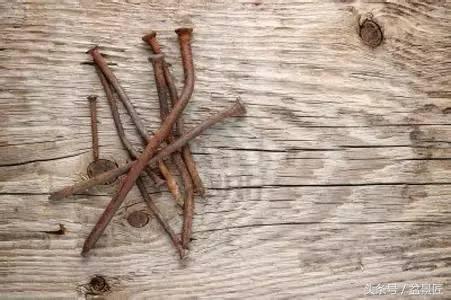 夏天招蚊子的绿植,绿植除虫小妙招