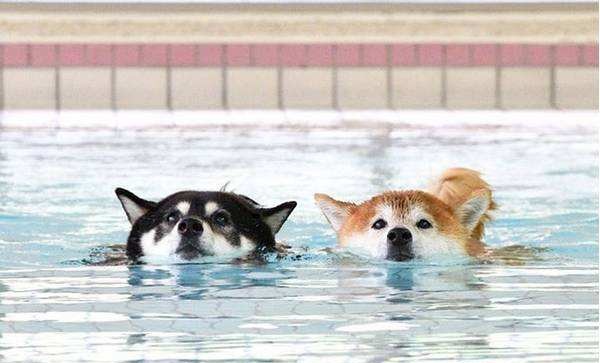 玛雅海滩试玩,玛雅海滩3个小时够玩吗