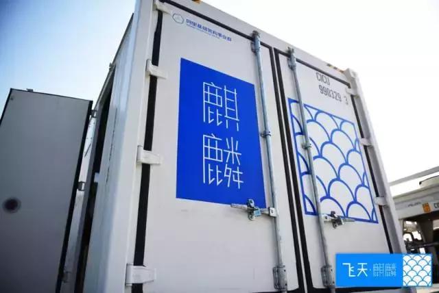 阿里浸没式液冷服务器,把服务器放进水里