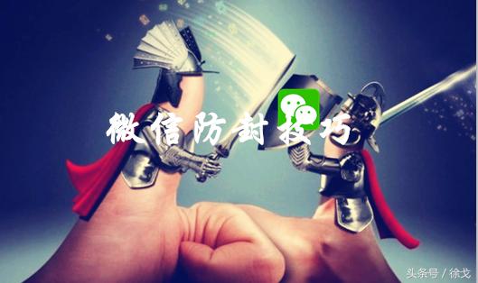 徐戈知乎,徐戈的结局