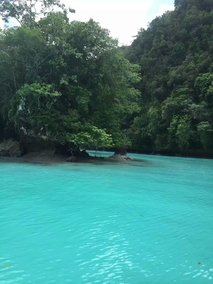 看鲨鱼，玩泥巴，看男人穿婚纱，带你看不一样的帕劳