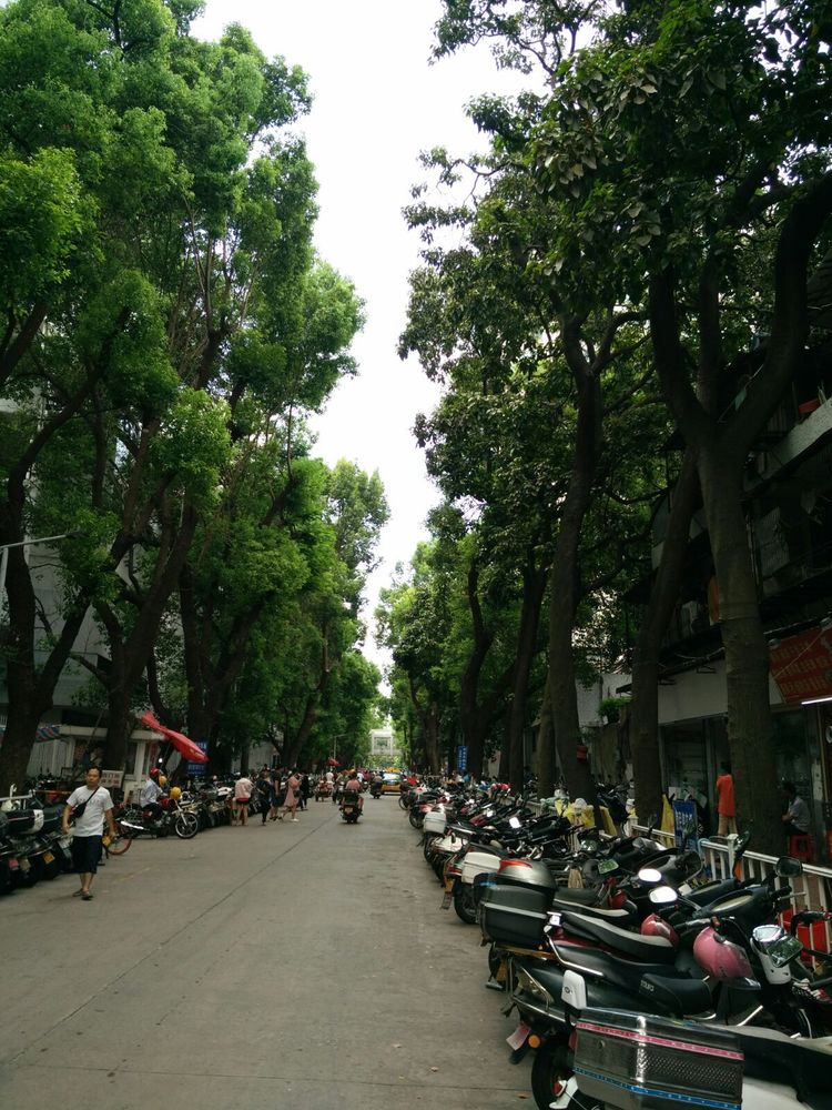 汕头的历史鮀城,汕头经济特区今昔对比图