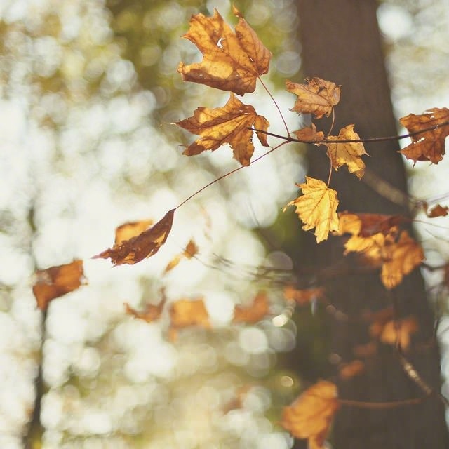 男人的G盘里存点*片A**、小视频之类的东西都不算什么大事