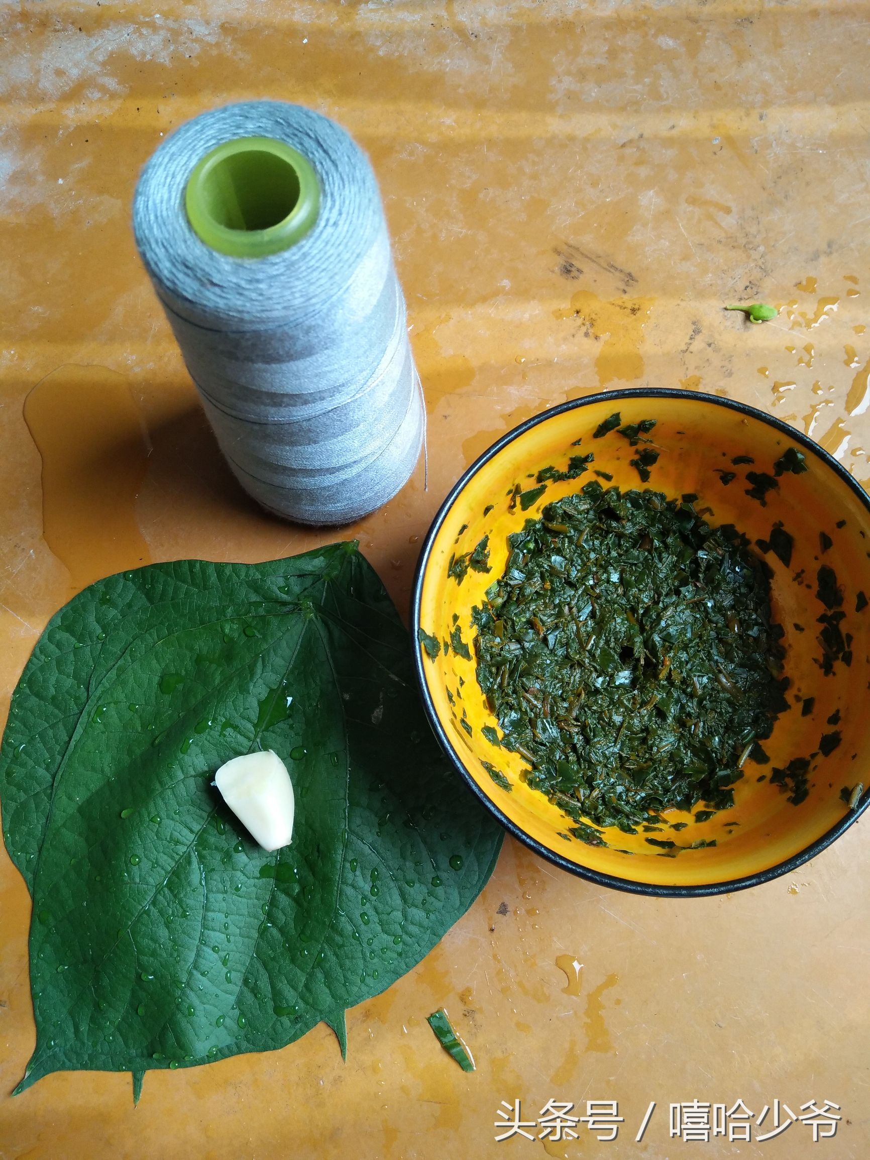 农村纯天然指甲草,神奇的指甲草有几种