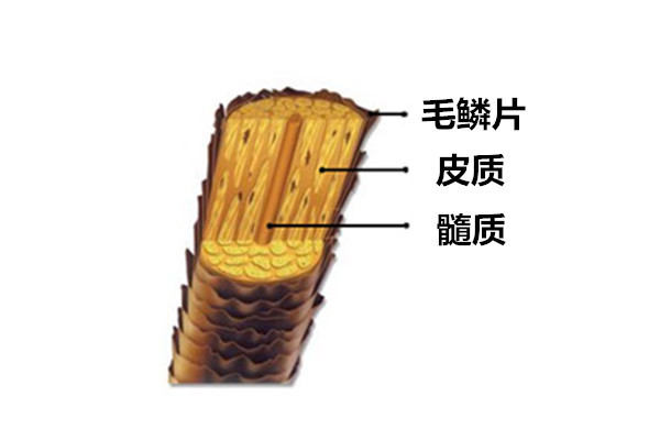 美发师Tony不会告诉你烫染后的护发秘诀，在这里！