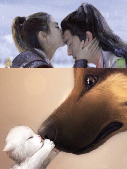 这就是《楚乔传》给我们看的大结局：男主沉湖女主殉情，这样的烂尾导演你还要第二部？