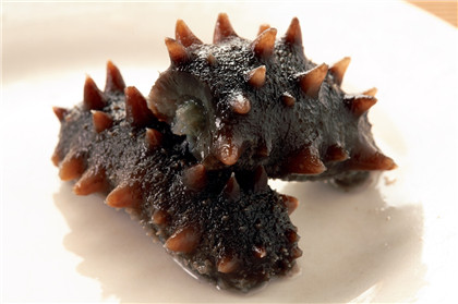 泡发海参保存方法,半干海参如何保存