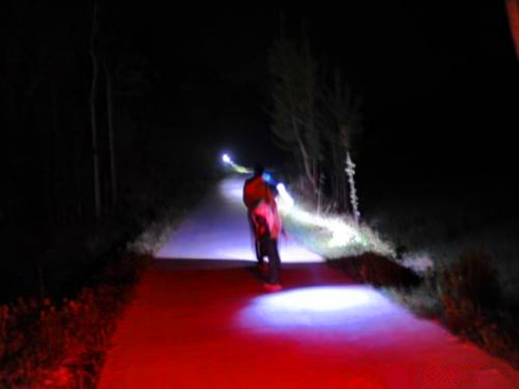 农民增收好点子，捕捉蜈蚣挣钱，被咬后自找草药医治，月入千元