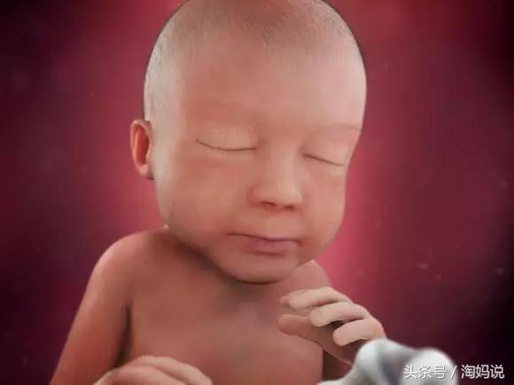 胎儿发育40周全过程注意事项,赞宝宝训练抬头的句子