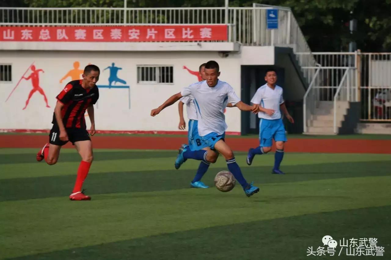 卫士动力110,卫士动力