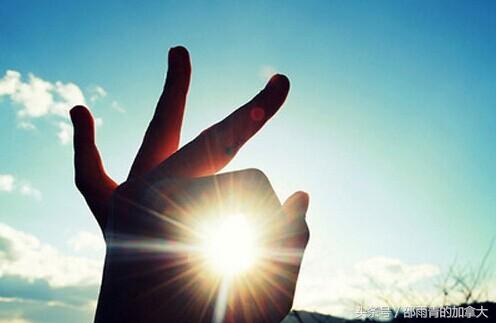 5000加拿大留学生,加拿大留学生真实现状