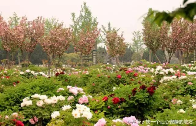 1-3月份山东适合去哪旅游,山东1月2日旅游攻略大全