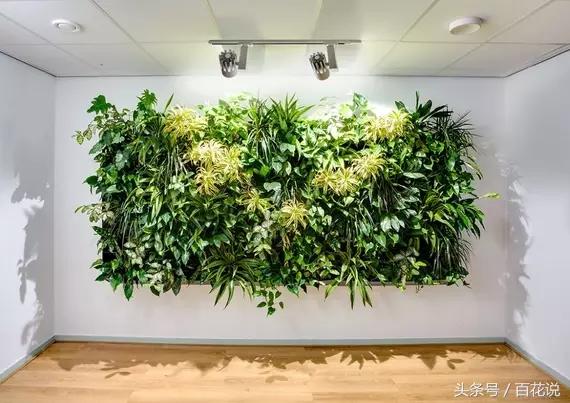 花艺师入门自学教程仿真花,花艺装饰花教程