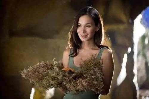 战狼2投资多少亿,战狼2耗资多少