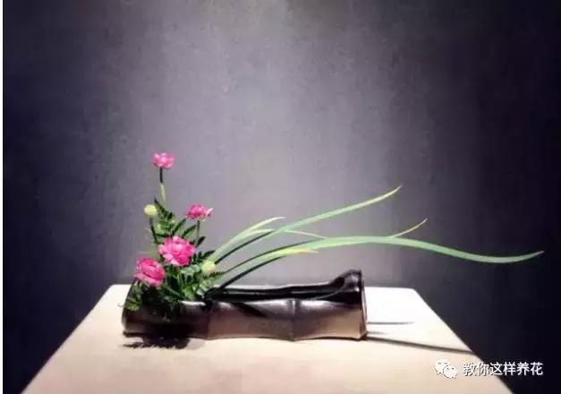 娈嬫灊璐ュ彾鎻掕姳,娈嬫灊璐ヨ姳