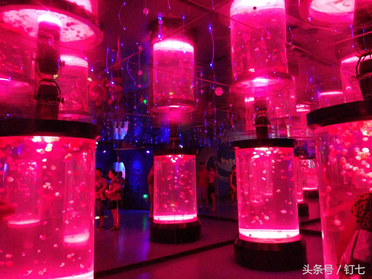 夏天与海绝配,夏天与海洋更配的图片