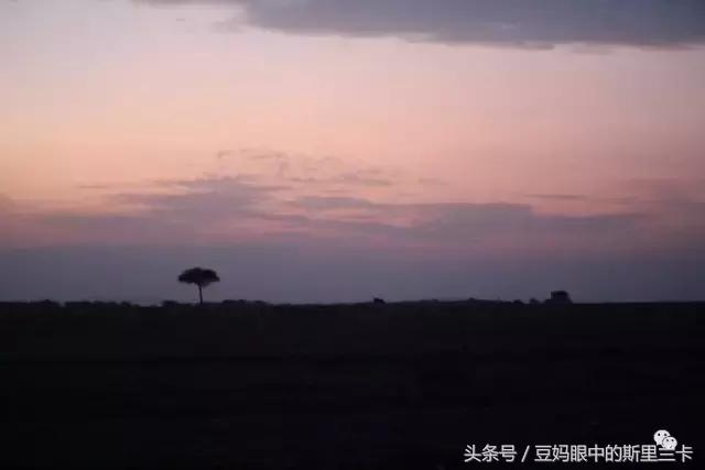 风动？树动？心动！致你，Kenya