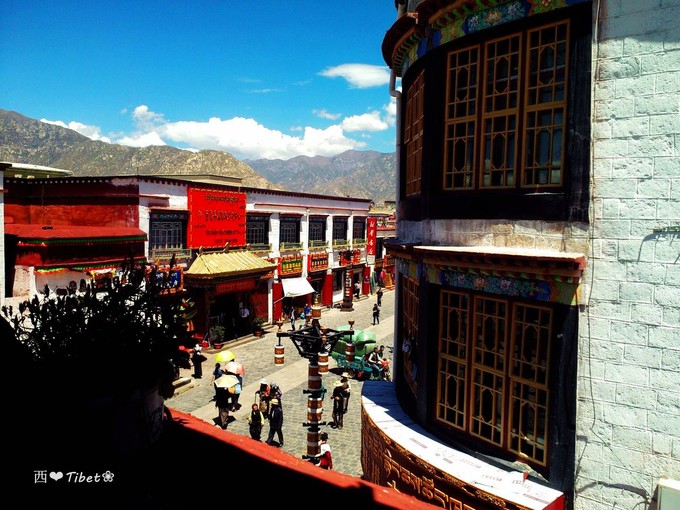 奥古斯都,August的格桑花秘境：我养你！带你去*藏西**啊！