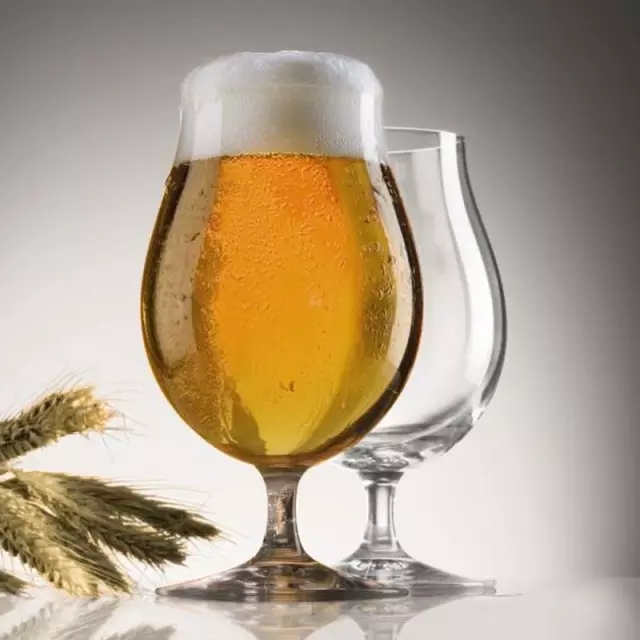 像行家一样品精酿！｜BeerTasting