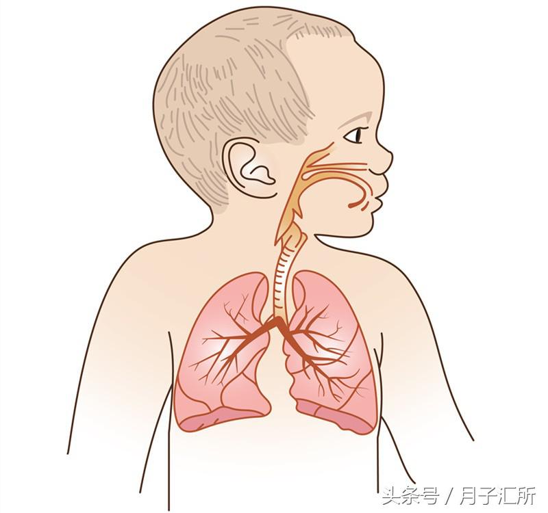 从咳嗽有痰到流清涕,小儿肺炎咳嗽变好的三个过程