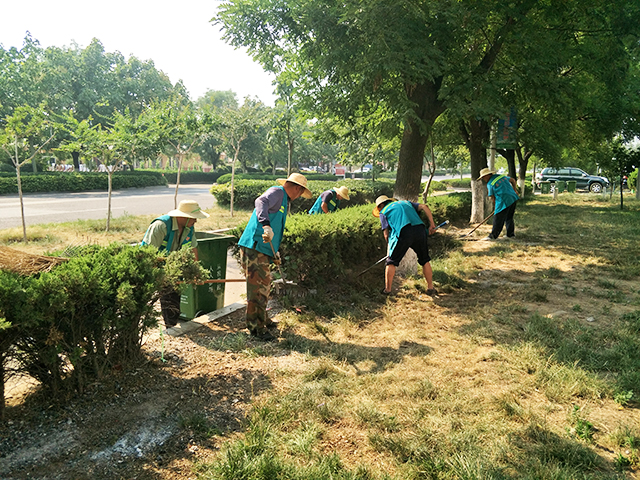 胶州温暖的阳光,胶州怎么样的城市