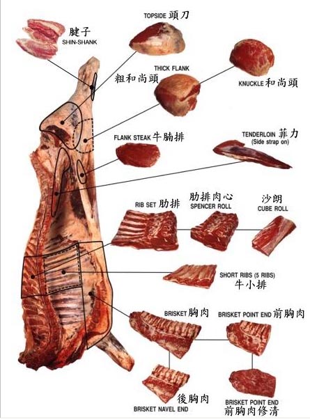 牛牛的增重计算方法,牛牛育肥全过程