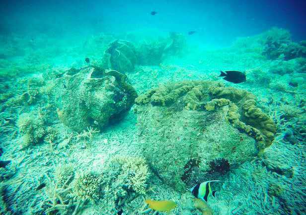 一起去帕劳旅游,去帕劳旅游自由行攻略