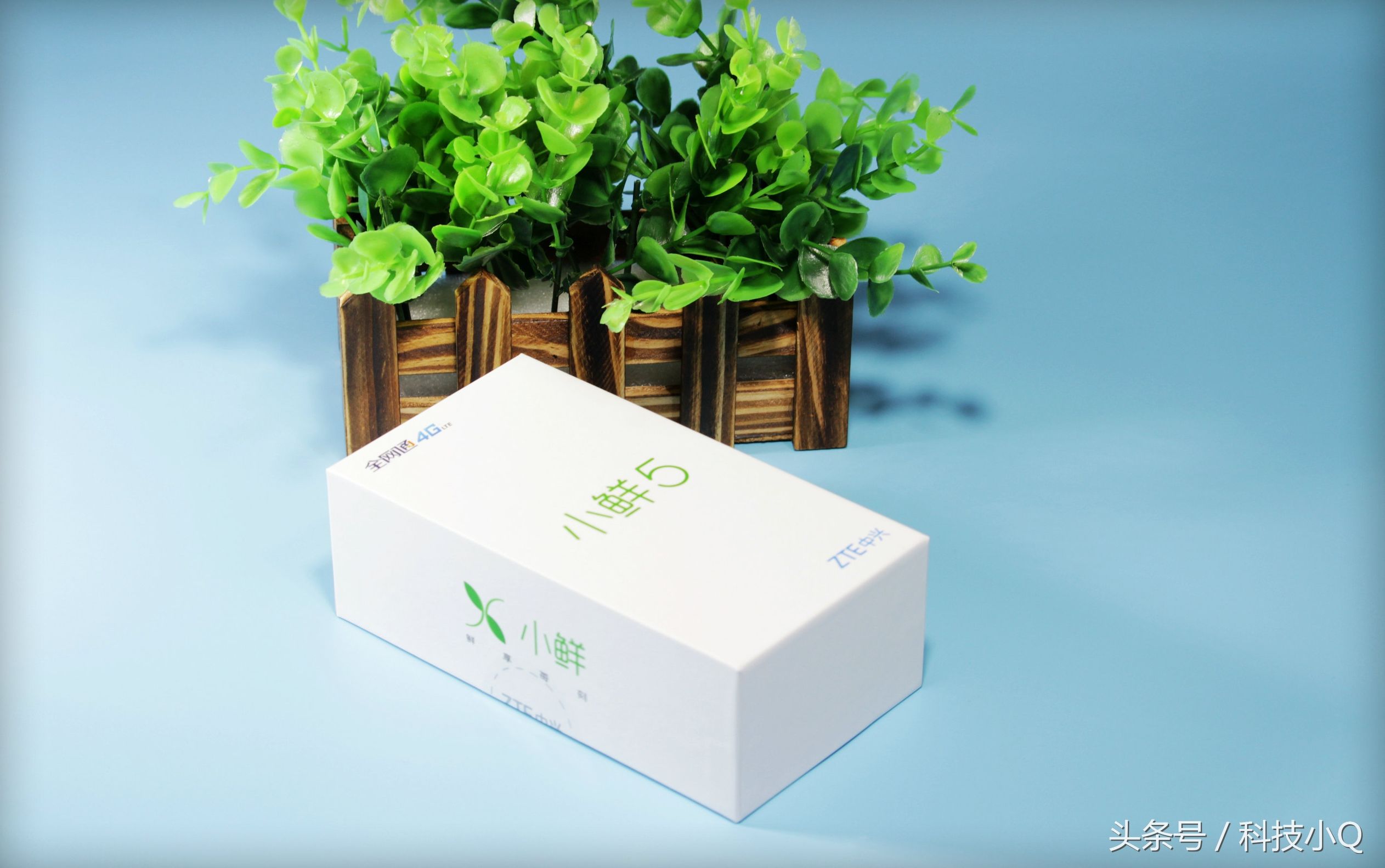 中兴小鲜5测评,中兴小鲜5支持全网4g