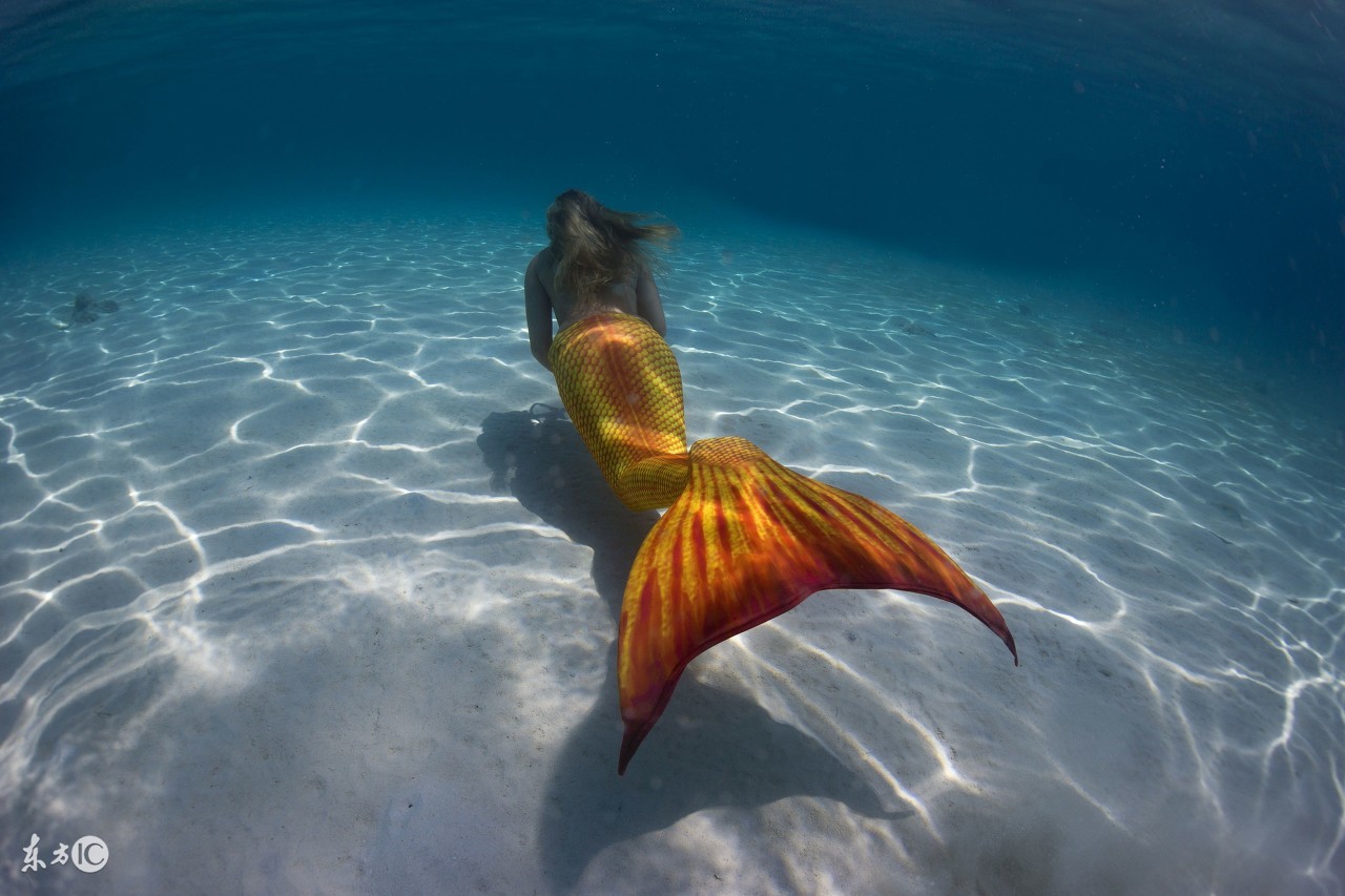 小新孖孖美人鱼故事,小新故事怪谈