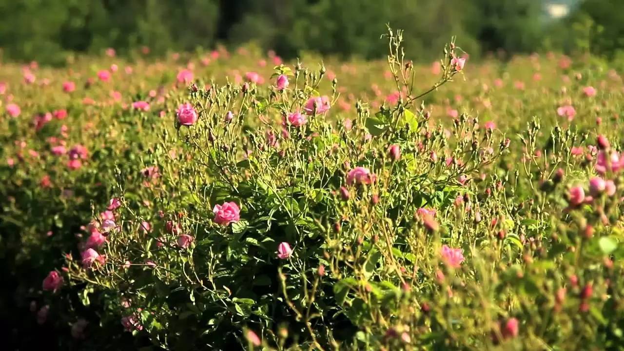 一生必去的海边小镇,蔚蓝海岸有没有值得一去的地方