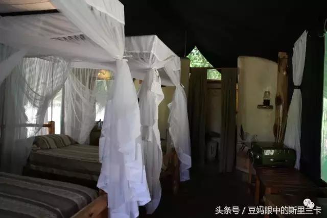 风动？树动？心动！致你，Kenya