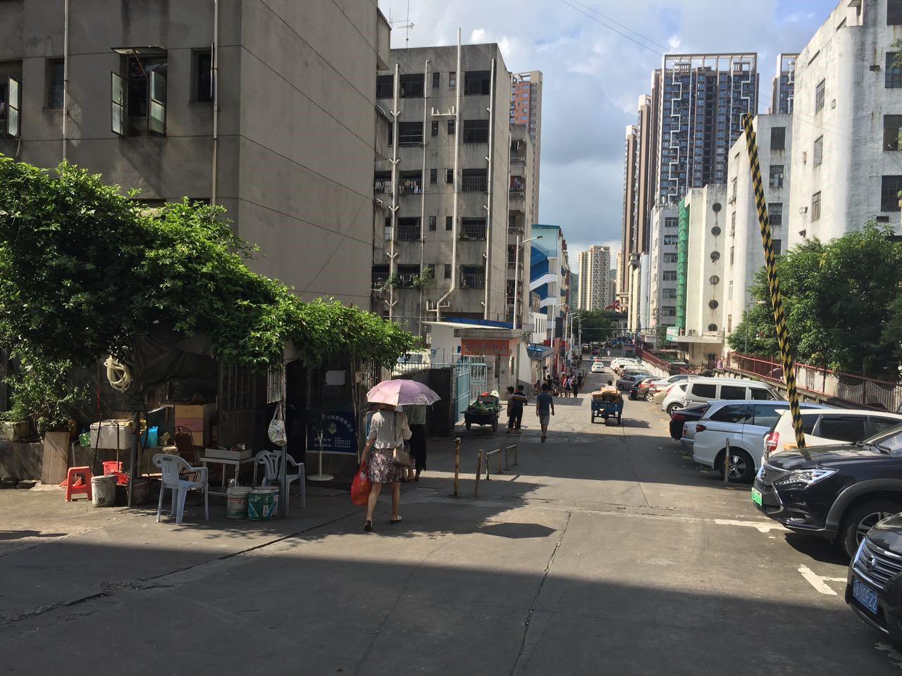 任督二脉是个笑话吗,深圳任督二脉在哪里