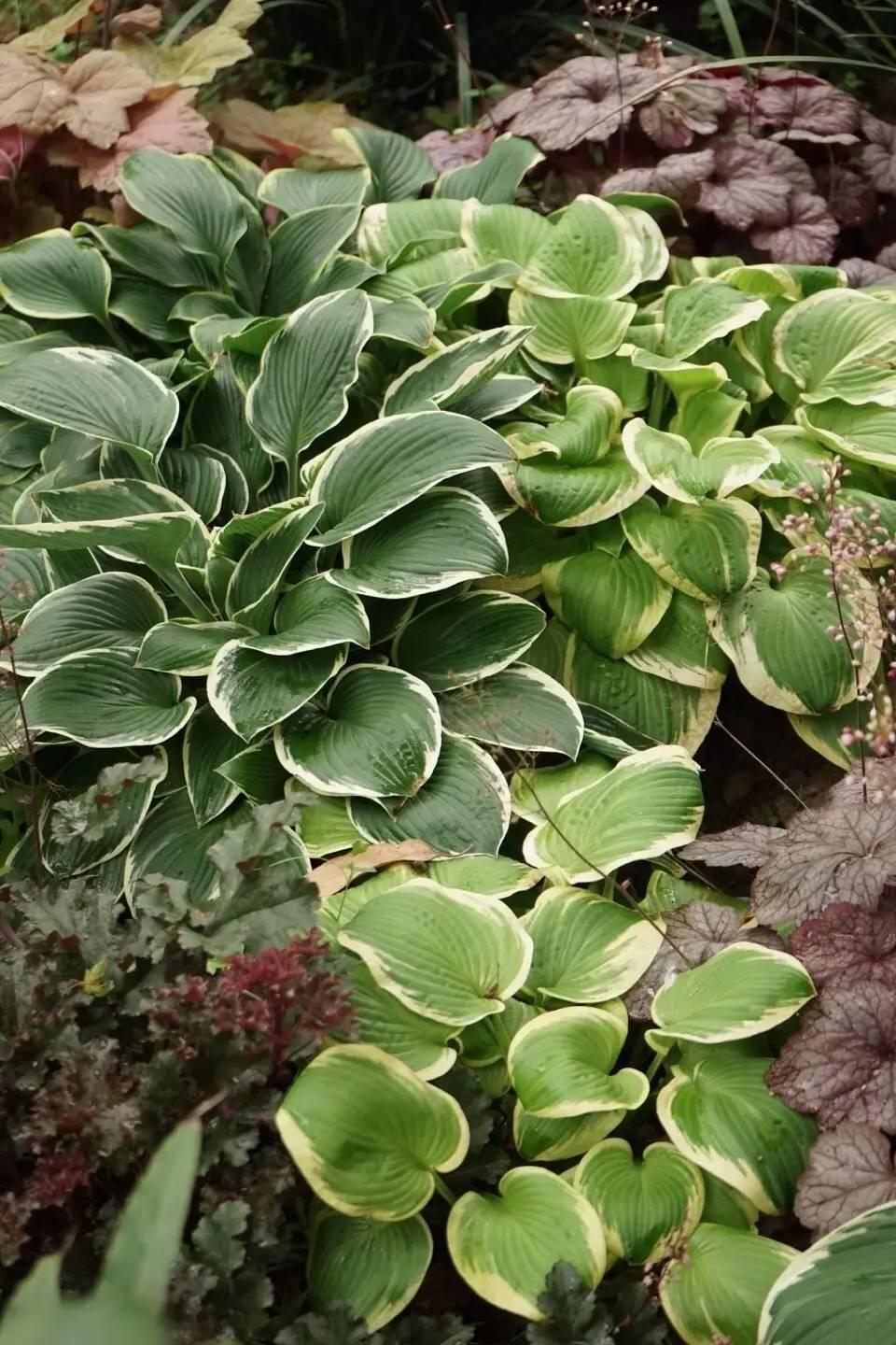 90后帅哥花3000元爆改出租屋后，又买了个破院子