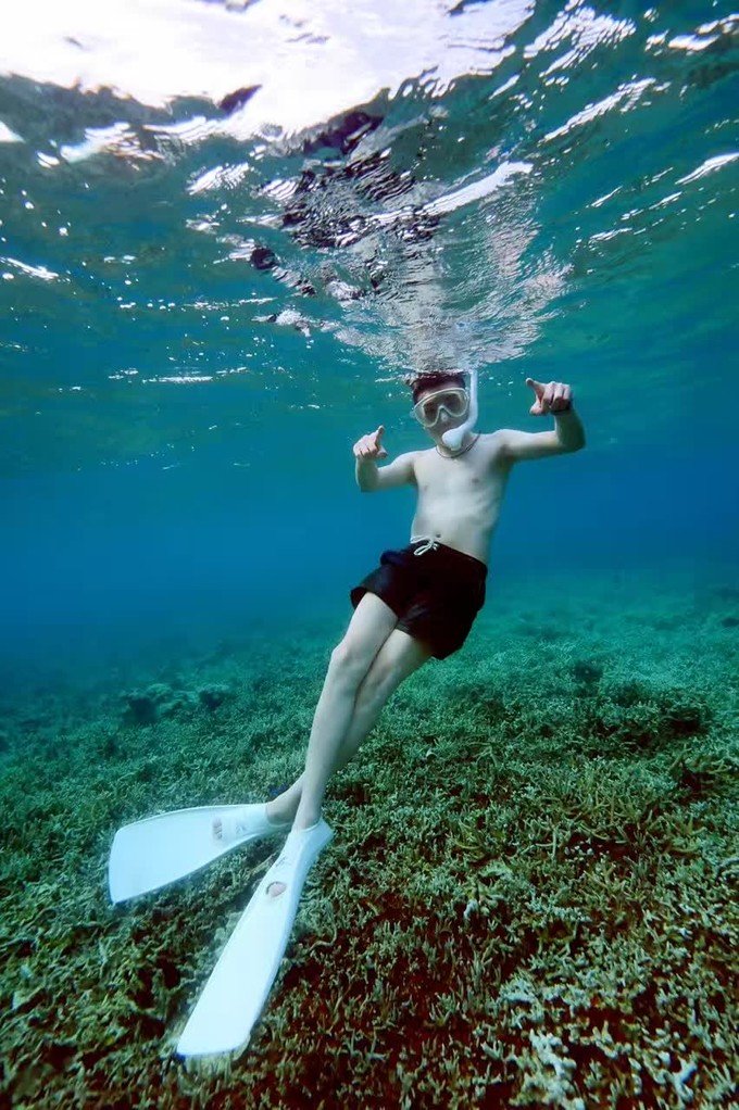 一起去帕劳旅游,去帕劳旅游自由行攻略