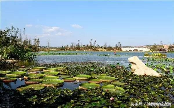 朱永新和央视主持人王端端8月10日将走进韩城