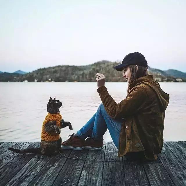 玳瑁猫有什么好,玳瑁猫猫界有多受欢迎