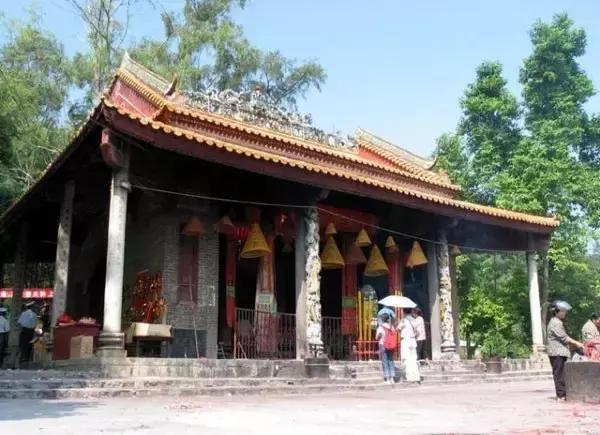 花如此多娇,花都如此多娇全文免费阅读