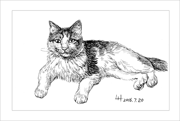 钢笔画动物昆虫,钢笔画家禽速写