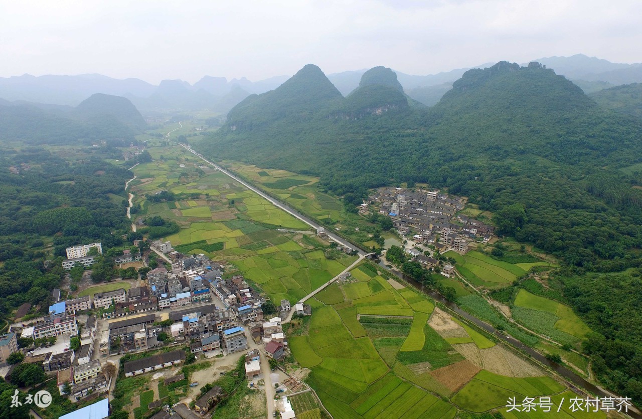 山区农村适合什么致富项目,适合农村小型养殖的致富项目