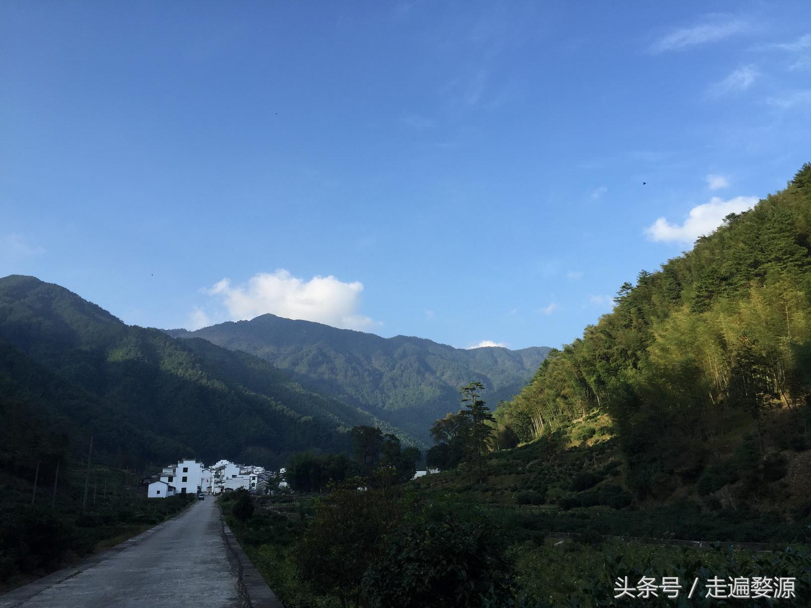 婺源第一名,婺源茶叶第一名