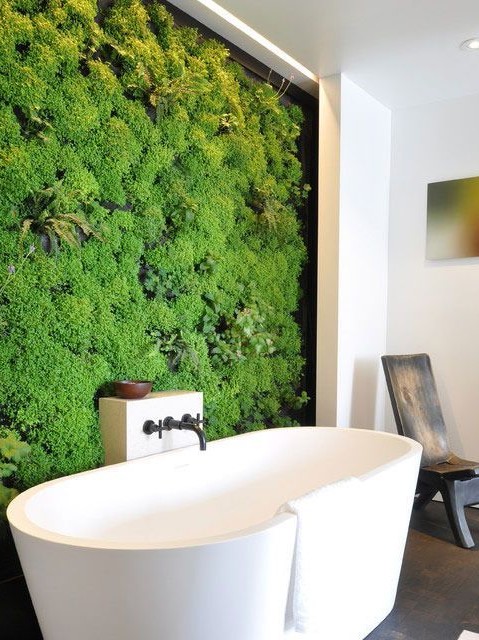 把植物墙请到家里来