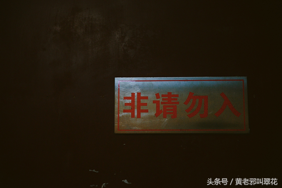 杂拍‖常德桥南市场，在这里望见真实的生活