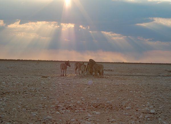 来到纳米比亚，你会知道什么才是非洲应有的样子！