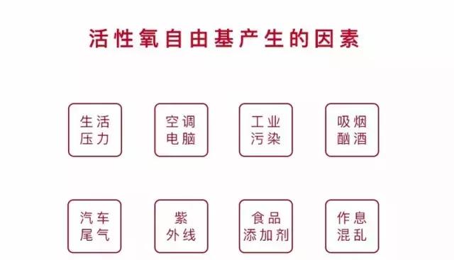 神奇水杯可以将水变果汁,神奇健康水杯