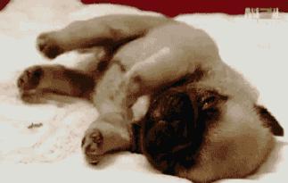 为什么鬼压床醒来还在梦里,梦里鬼压床感觉很真实