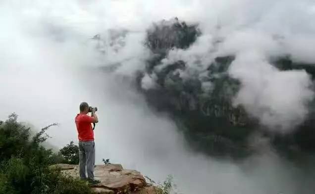 词风雅韵-冯振宇｜十里荷塘菡萏香一河碧水秀波光