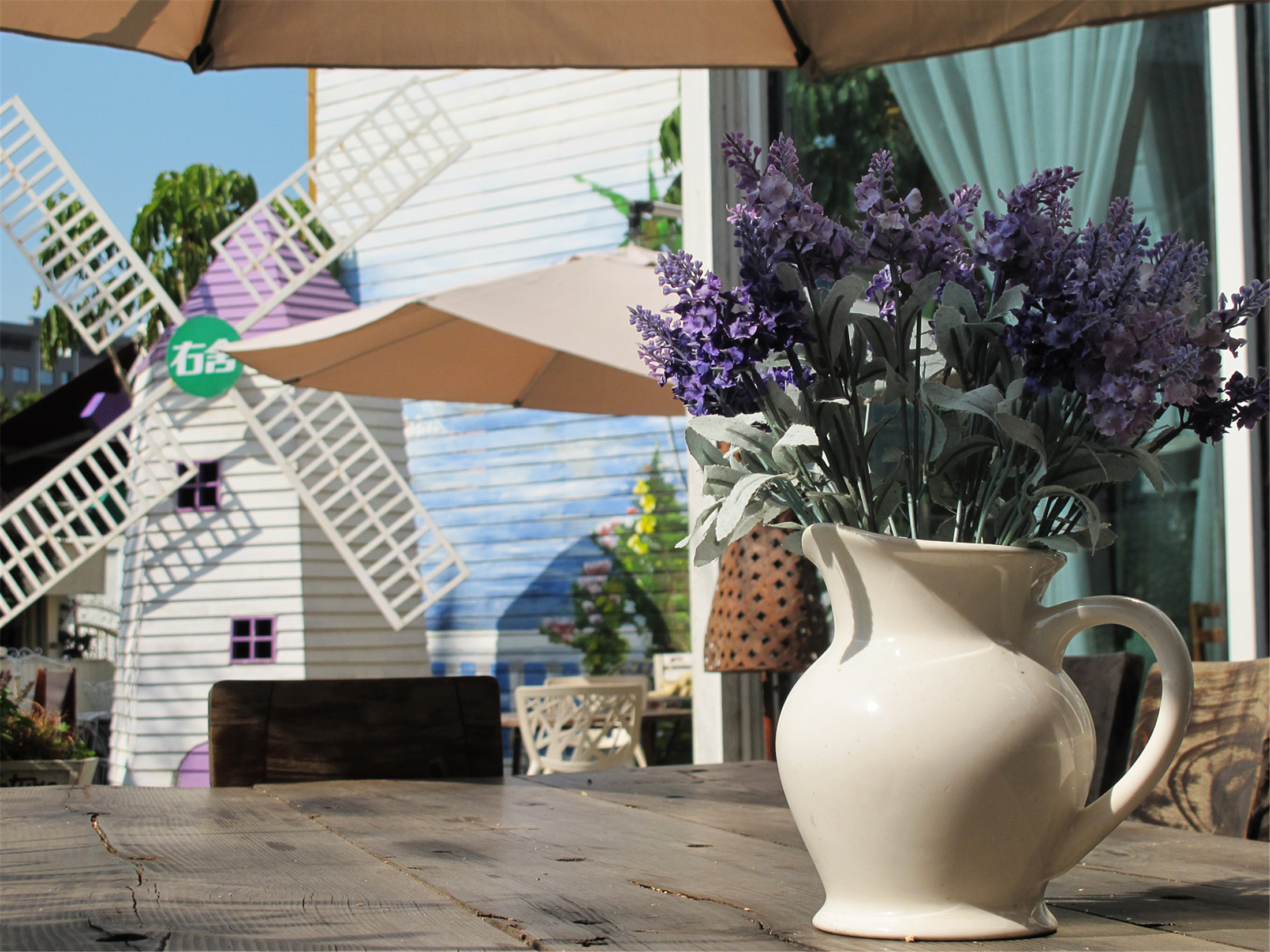 厦门过年免费景点,厦门北站附近景点