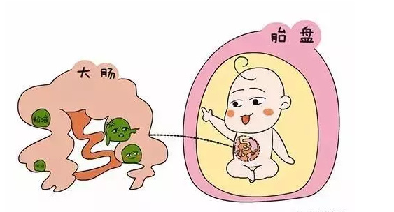 胎儿也会大小便？象妈妈说说尿液粪便都去了哪儿？