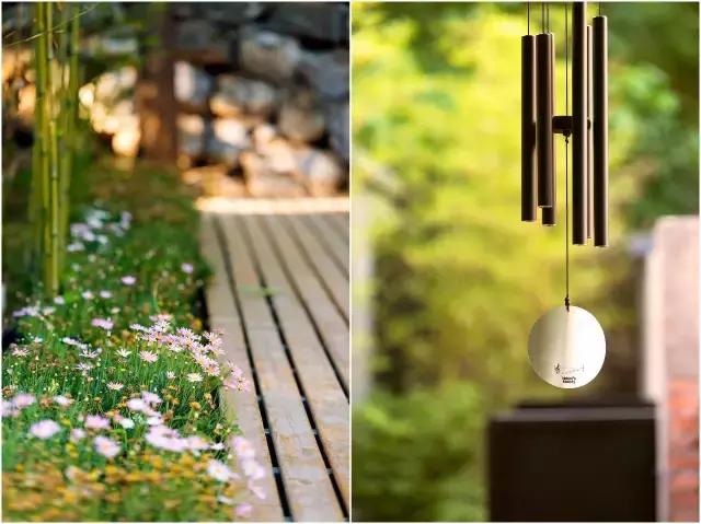 “麻麻,那是什么花?”“麻麻花呀!”