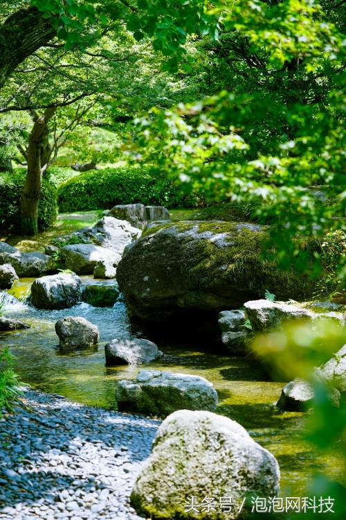 索尼最新微单a7r3与a9对比,索尼a9和a7r4拍视频比较